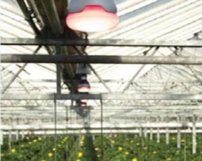Aumento de Produção com Tecnologia LED