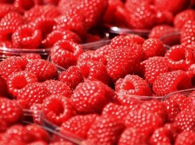 Aveiro debate desafios da internacionalização agroalimentar