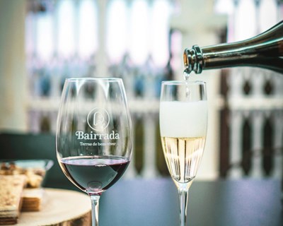 Bairrada online promove comercialização de vinhos e produtos certificados