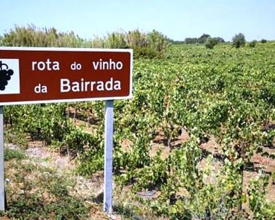 Bairrada promove concursos de espumantes e de carta de vinhos
