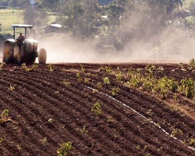 Balcão dos Fundos da Agricultura: exige Cartão de Cidadão Ativo ou Chave Móvel Digital