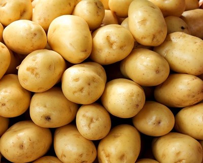 Batata: associação alerta para prejuízos em 2017