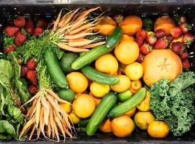BE quer cantinas públicas com produtos agrícolas locais