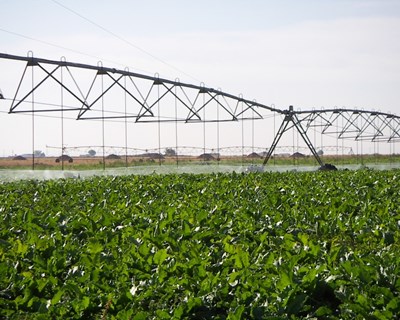 Beja discute “sistemas de apoio à decisão na agricultura de regadio”