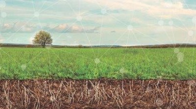 Benavente debate seguros agrícolas e proteção integrada