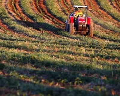 Beneficiários de gasóleo verde aumentaram 13% em cinco anos