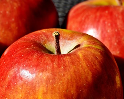 BGI e EIT Food reabrem inscrições para a Escola de Verão Circular AgriFood sobre empreendedorismo