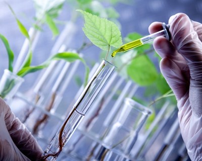 “Biotecnologia e Agricultura: o Futuro é Agora” em discussão no Porto