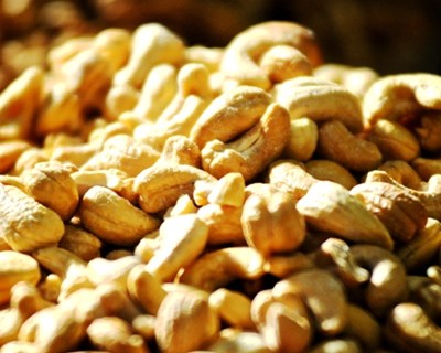 Bissau: preço da castanha de caju em alta beneficia produtores