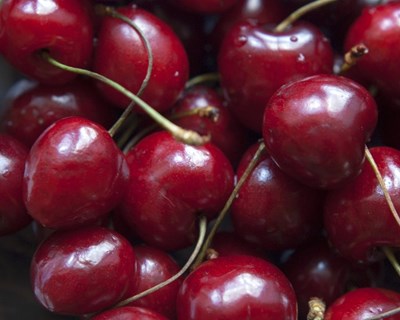 Boas expetativas para a campanha da cereja