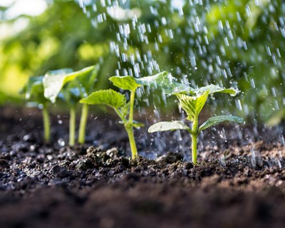 Boas práticas agrícolas para a biodiversidade no contexto das alterações climáticas