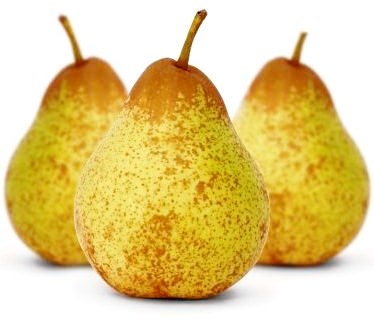 Bolsa de Terras: primeiro terreno a ser entregue vai ser pomar de pera rocha