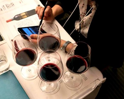 Bordéus: Vinexpo 2015 chega em junho