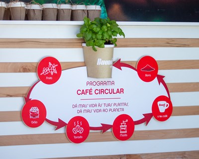 Borras de café BUONDI geradas no Rock in Rio vão ser reaproveitadas para regenerar os solos do Parque Tejo