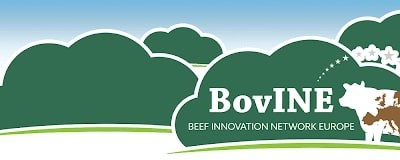 BovINE debate "Redução da idade ao primeiro parto com o aumento da eficiência na recria de novilhas"