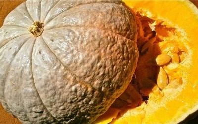 Bragança: Agrobio convida a “cultivar uma PAC mais verde”