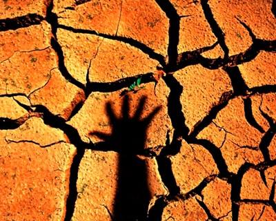 Bragança celebra Dia Mundial de Combate à Desertificação