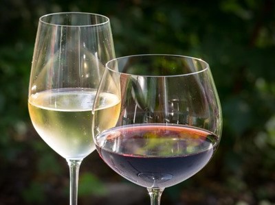 Brasileiros à conquista dos vinhos do Alentejo