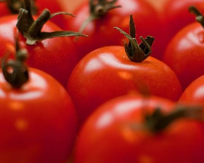 Brexit: exportação/importação de vegetais e produtos vegetais
