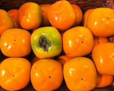 Bruxelas: conferência sobre Frutas e Hortícolas em janeiro de 2018