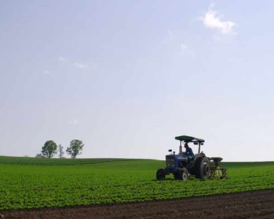 Bruxelas não perdoa dívida de €143 milhões em fundos agrícolas