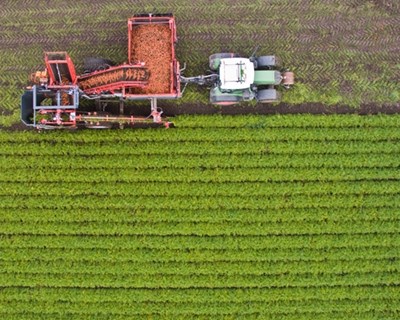 Bruxelas poderá aumentar em 2% o orçamento agrícola para 2018