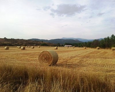Cadaval acolhe I Feira da Caça e do Mundo Rural