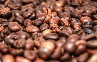 Café: a preocupação da escassez mundial