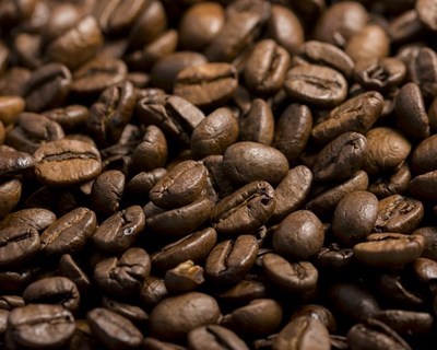 Café: exportações renderam a Angola mais de 2 milhões de dólares em 2015