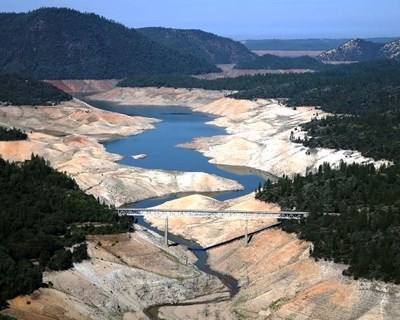 Califórnia: mais de 50 milhões de árvores ameaçadas pela seca