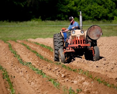 Candidaturas à Linha de Crédito Tesouraria do setor agrícola até 30 de setembro