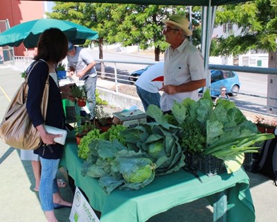 Candidaturas abertas para transformar e comercializar produtos agrícolas em Abrantes, Constância e Sardoal