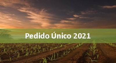Candidaturas ao Pedido Único 2021 - Novo prazo