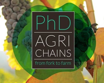 Candidaturas ao Programa Cadeias de Produção Agrícola até 23 de setembro
