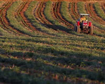 CAP adia webinar "A Aplicação da PAC em Portugal em 2021 e 2022" para dezembro
