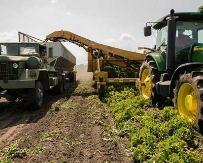 CAP considera acordo UE-MERCOSUL uma oportunidade estratégica e globalmente positiva para a agricultura portuguesa