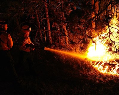 CAP manifesta solidariedade com vítimas dos incêndios e populações afetadas e reforça necessidade de serem tomadas medidas