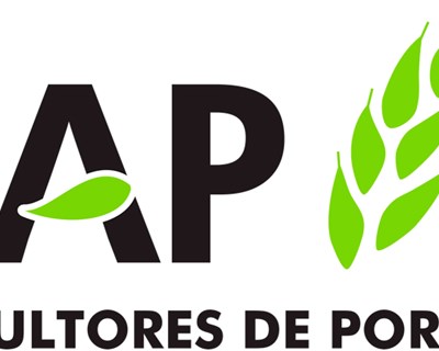 CAP manifesta solidariedade para com os agricultores do douro afetados pela tempestade Kirk e alerta para a necessidade da rápida disponibilização dos apoios