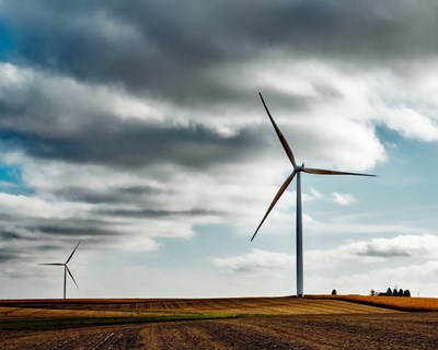 CAP organiza webinar sobre a utilização de energia renovável no setor agrícola