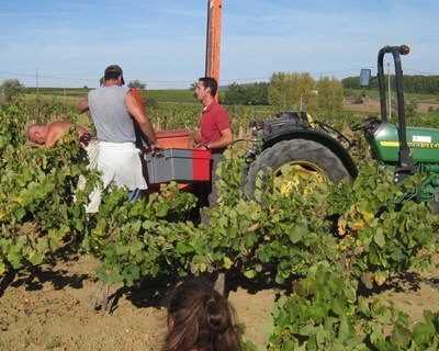 CAP realiza inquérito sobre as necessidades do mundo rural
