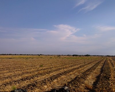 Capoulas Santos acusa Governo de fazer “show off” com agricultura
