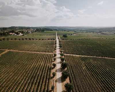 Casa de Santar Vinhos apresenta três novidades para o verão