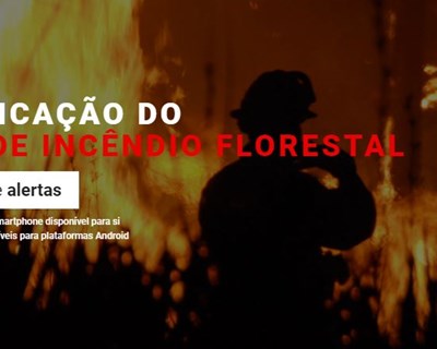 Castelo Branco é o primeiro concelho com alertas de incêndios à população