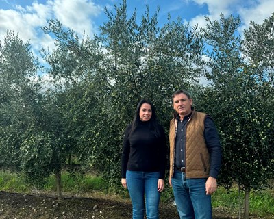 Cátia Afonso: a Jovem Agricultora que inova no olival em sebe em Trás-os-Montes
