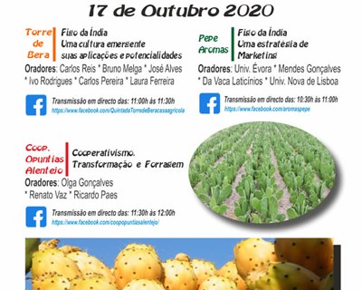 CCRES promove workshops para a valorização e dinamização da fileira do figo da índia