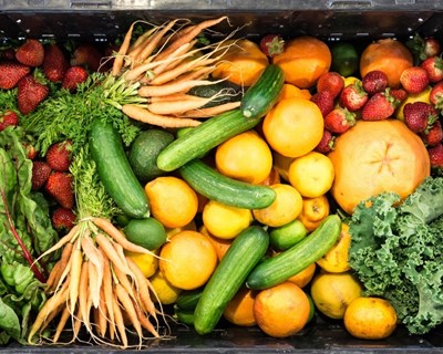 Centenas de pedidos à nova Rede de Emergência Alimentar