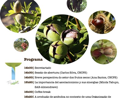 Centro Nacional de Competências dos Frutos Secos realiza seminário gratuito