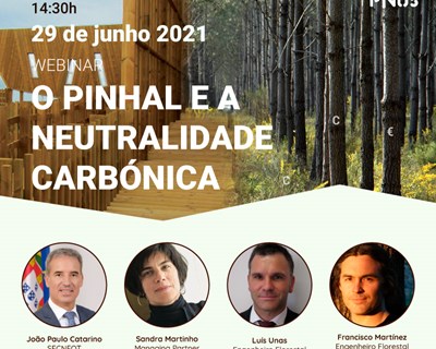 Centro PINUS disponibiliza informação do Webinar “O pinhal e a neutralidade carbónica”