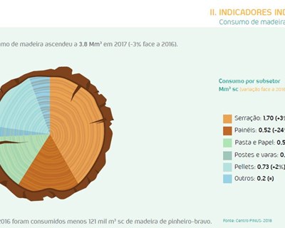 Centro PINUS divulga indicadores da fileira do Pinho 2017