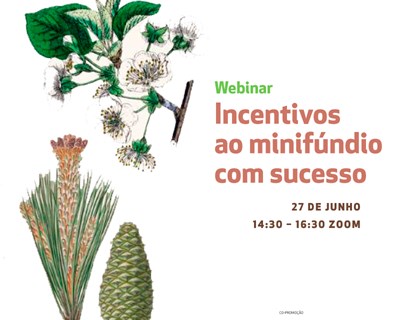 Centro PINUS promove webinar “Incentivos ao minifúndio com sucesso”